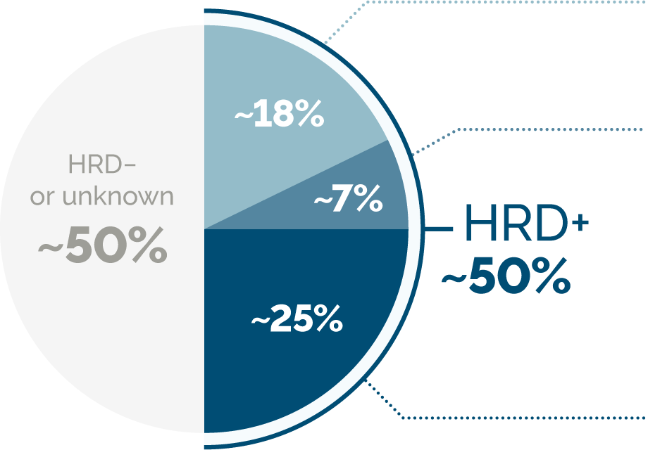 Chart: ~50% HRD negative or unknown and ~50% HRD positive.