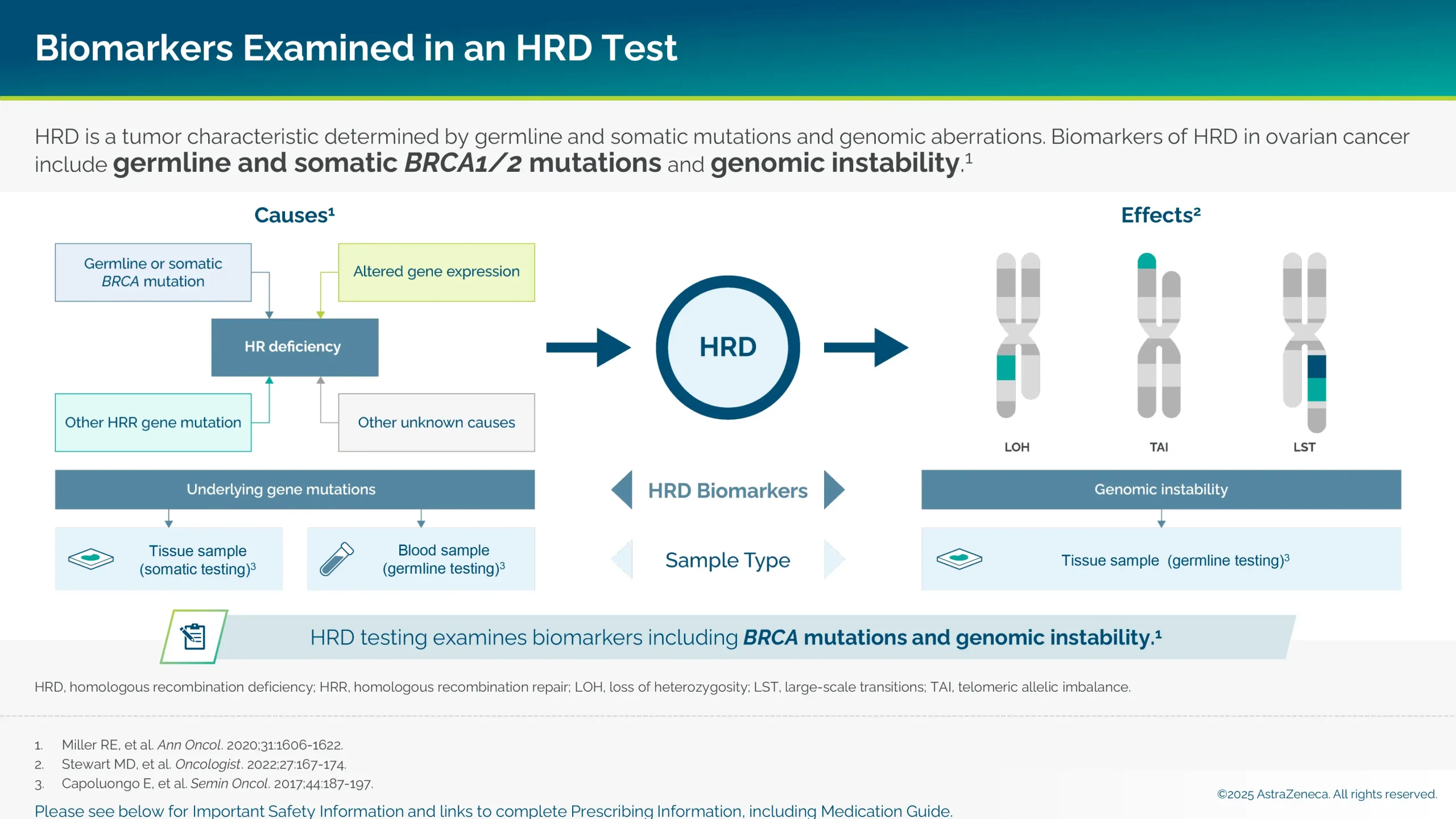Graphic showing biomarkers examined in an HRD test.