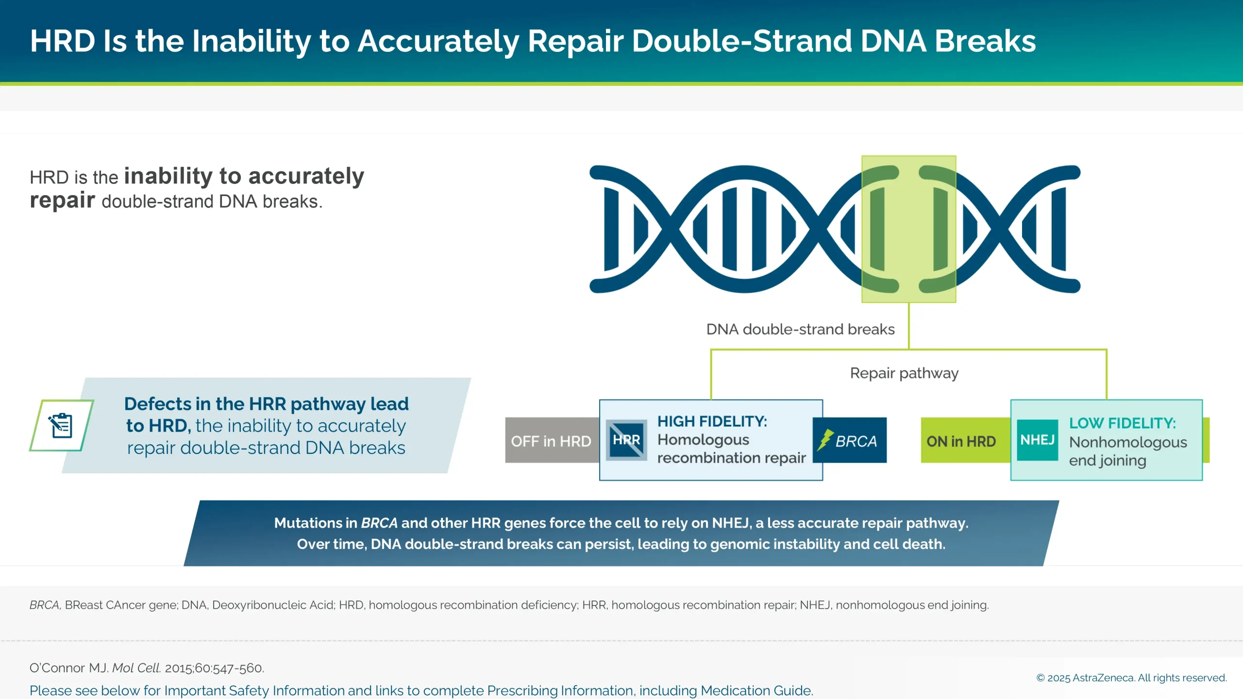 HRD is the inability to accurately repair double-strand DNA breaks.