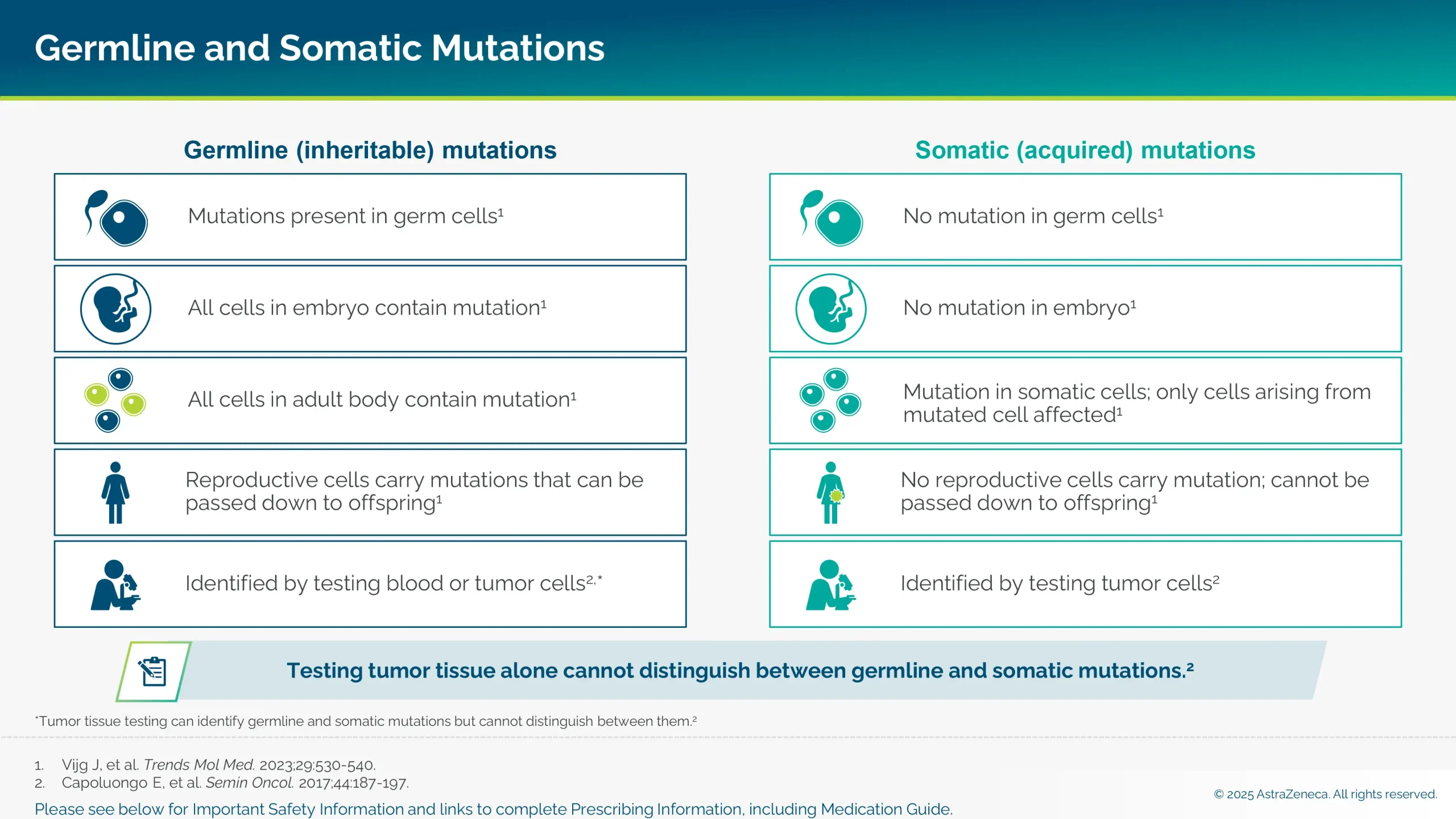 Germline and somatic mutations.