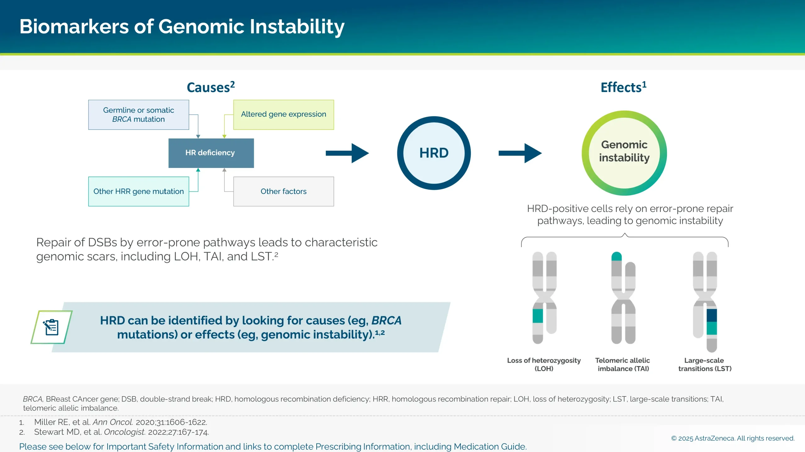 Graphic showing biomarkers of genomic instability.